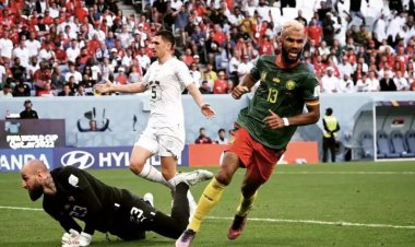 کامبک فراموش‌نشدنی شیرهای رام نشدنی