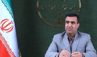 رئیس سازمان حفاظت محیط زیست: ایران در زمینه محیط زیست از خیلی کشورها جلوتر است