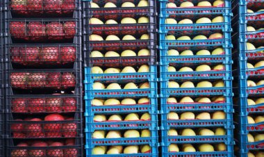 بلاروس مقصد صادرات مرکبات جهرم