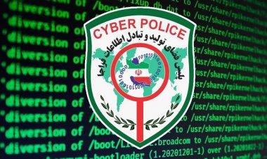 ٢۵ درصد پرونده های پلیس فتا در فارس اقتصادی است