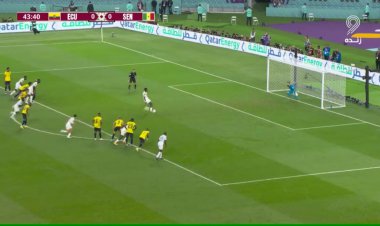 گل سنگال به اکوادور از روی نقطه پنالتی