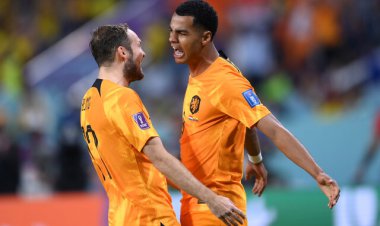 صعود آسان نارنجیها