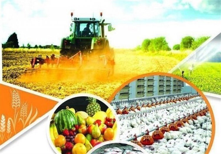 فارس، پايلوت صادرات  کشاورزی  پايانه صادرات ندارد!