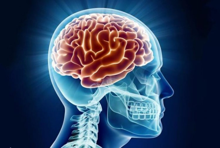 کشف مولکول‌های ضد التهابی که در مغز پیر می‌شوند
