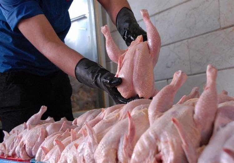کاهش ۱۰ هزار تومانی قیمت مرغ در بوشهر