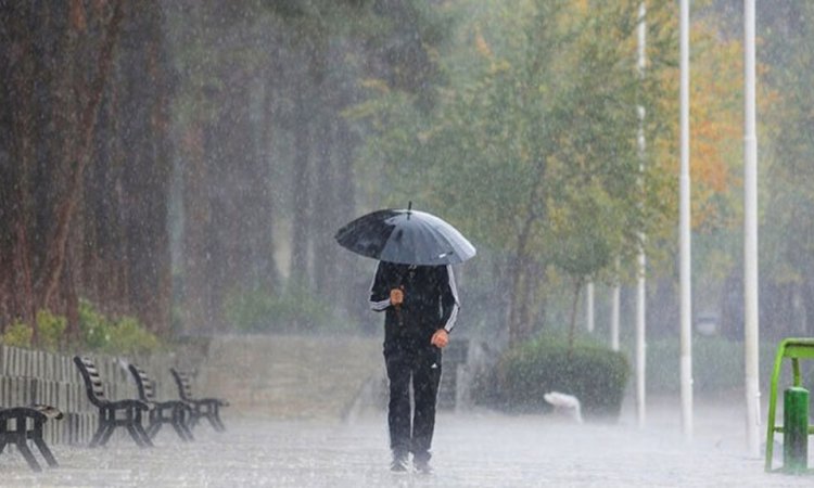 باد و باران در ۱۲ استان