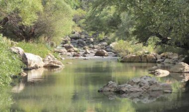 سرما دوستان به تنگ تیزاب بروند!