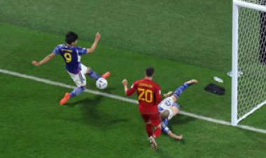 جنجال بزرگ: این گل را به ژاپن هدیه دادند؟ | عکس