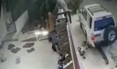 ببینید | دزد بدشانس  در بند صاحبخانه غول پیکر