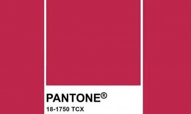 رنگ سال ۲۰۲۳ رسما معرفی شد