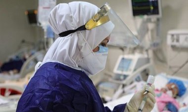 شناسایی ۲۳ بیمار کرونایی در شبانه روز گذشته