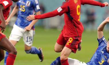 فریادهای گاوی: حذف شدیم، حذف شدیم!