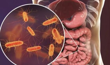 انقلاب بزرگ در علم پزشکی با الهام از مدفوع انسان!