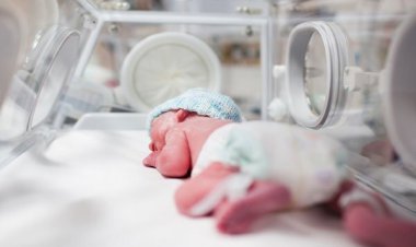 سامانه ملی "باروری سالم" رونمایی شد