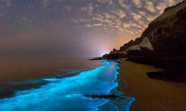 ببینید | پدیده نادر و زیبا در خلیج‌ فارس