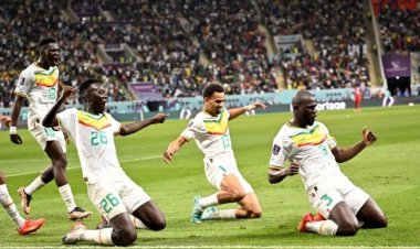 ابتکار هواداران سنگال روی سکوهای البیت