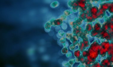 روش جدید و امیدوارکننده نانوفناوری برای درمان بیماری‌های خودایمنی   