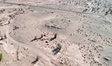 کشف صدف‌های کار شده از گونه‌های دریایی در شیراز