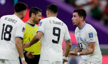 پایان تلخ جام جهانی برای فغانی