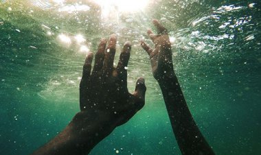 «نجات سگ» جان جوان ۳۲ ساله را گرفت