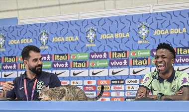 ببینید| گربه در نشست خبری برزیل و کرواسی!