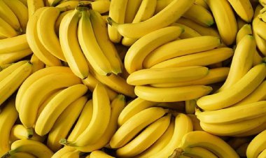 ناشتا موز نخورید!