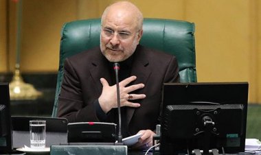 رئیس مجلس وارد شیراز شد