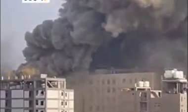 ببینید | مهار آتش‌سوزی در کربلا