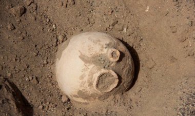 اشیای عتیقه از حفاران در فیروزآباد کشف شد