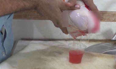 خونابه فروشی، روشی عجیب برای کسب درآمد