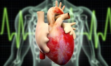 شایع‌ترین نشانه‌های بزرگ شدن قلب