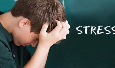 استرس موجب عملکرد ذهنی بهتر می شود؟