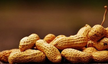 آلرژی غذایی می‌تواند عامل اختلالات رفتاری باشد   