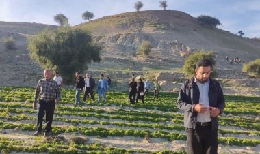 آغاز عملیات کشت گیاهان دارویی در کهگیلویه و بویراحمد