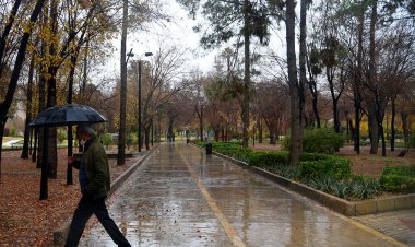 میزان بارندگی سامانه بارشی اخیر در فارس اعلام شد