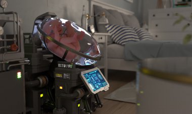 مرکز پرورش نوزاد اِکتولایف نیاز به بارداری را از بین می‌برد