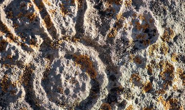 سرطانی به جان تاریخ فارس