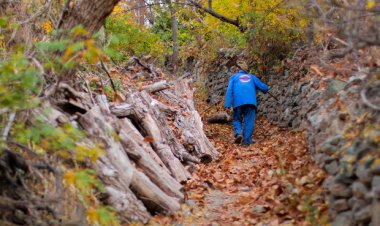 شناسایی بیش از ۱۰۰ نقطه گردشگری جدید در کشور