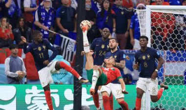 فیلم| قیچی برگردان دیدنی بوفال