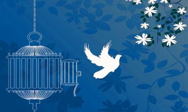 محکوم به قصاص پس از ۹ سال حبس، آزاد شد