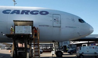 زمینگیری «کارگو»