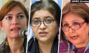 انتصاب سه زن به عضویت کمیته حقیقت‌یاب سازمان ملل درباره ایران