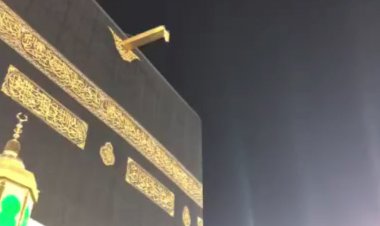 فیلم| بارش باران و جاری شدن آب از ناودان طلای کعبه