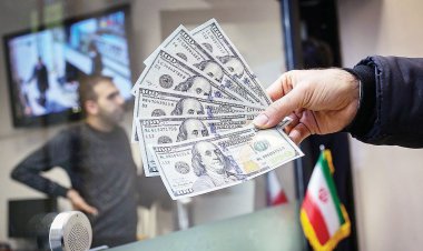 نقشه «فرزین» برای بازار ارز