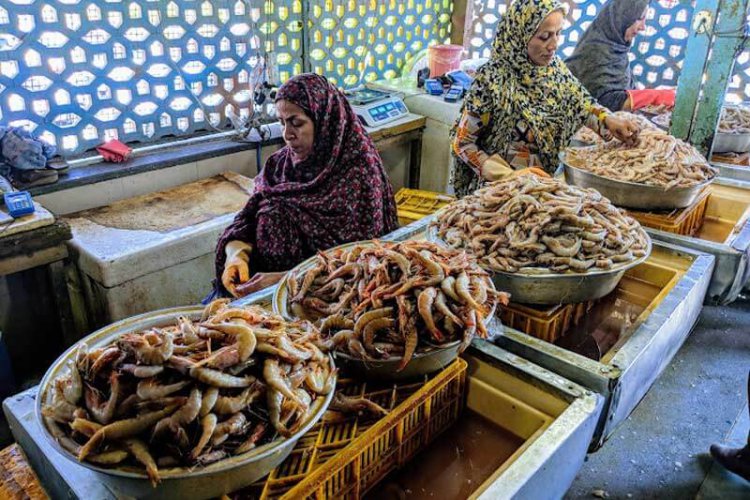 زمان افتتاح بازارچه سنتی ماهی و میگو جزیره هرمز