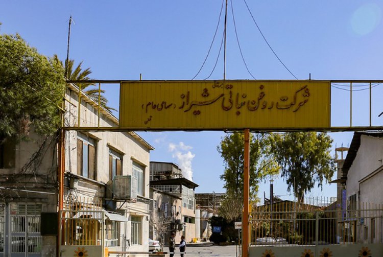 سرنوشت مشترک نرگس شیراز با کارخانه‌های آی تی آی و آزمایش