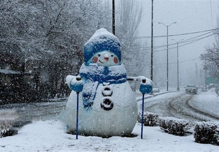 بارش برف در شهرستان سپیدان آغاز شد    