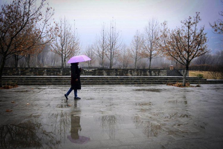 میزان بارندگی در شهرستانهای  فارس