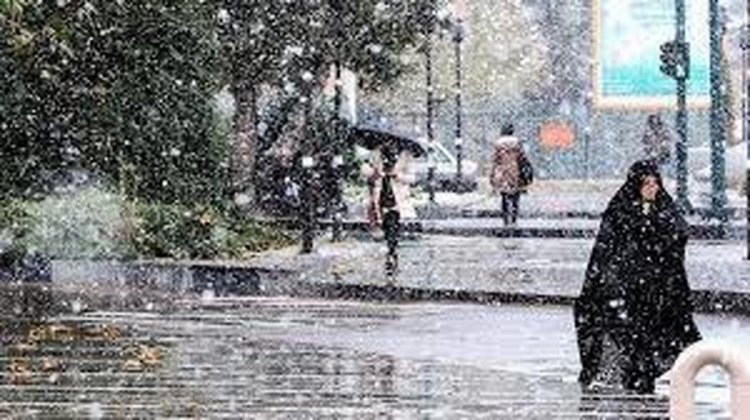 برف و باران در   فارس