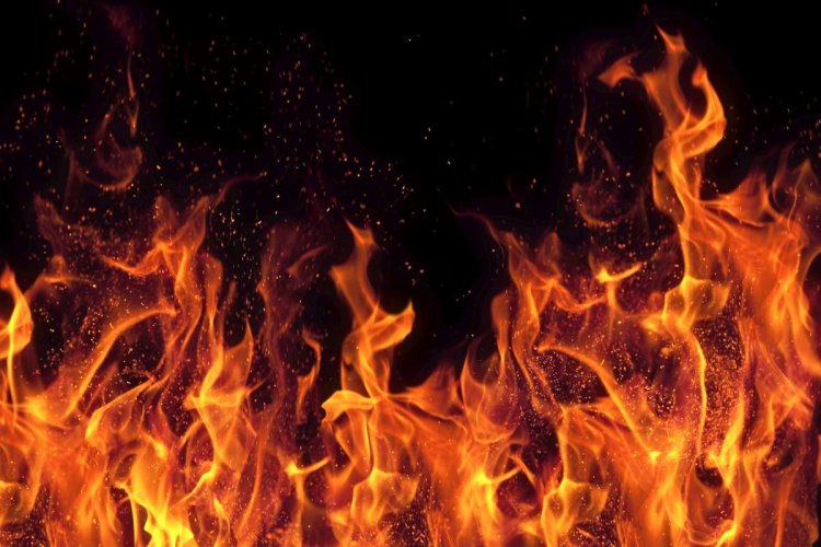 آتش سوزی در  باغ رستوران نخلستان مهار شد